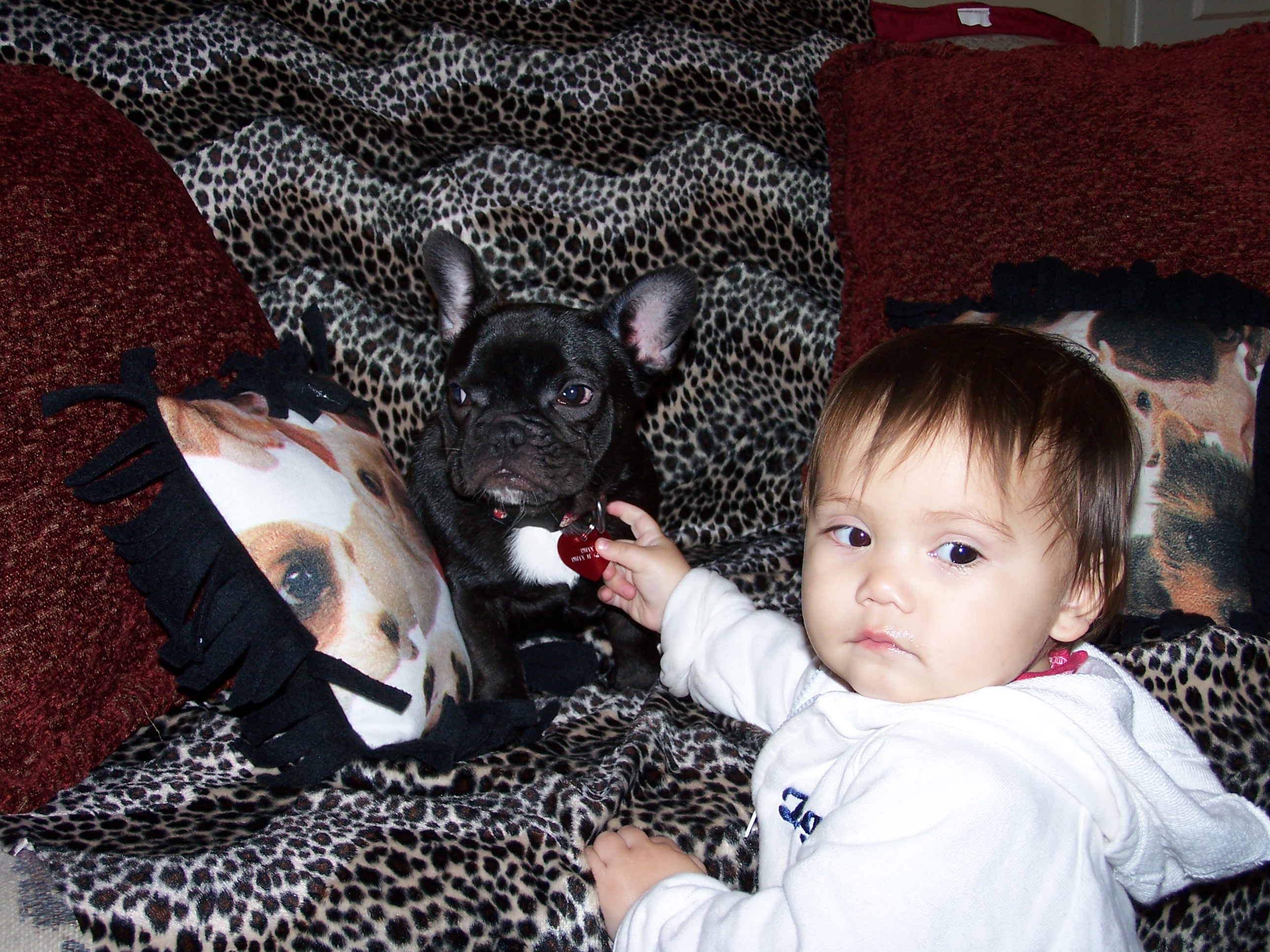 100_0141.jpg